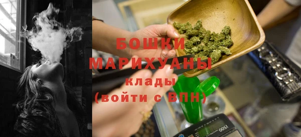 прущие грибы Бородино