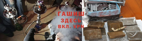 прущие грибы Бородино