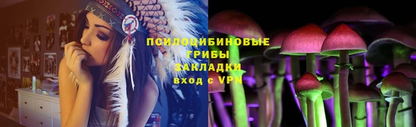 прущие грибы Бородино