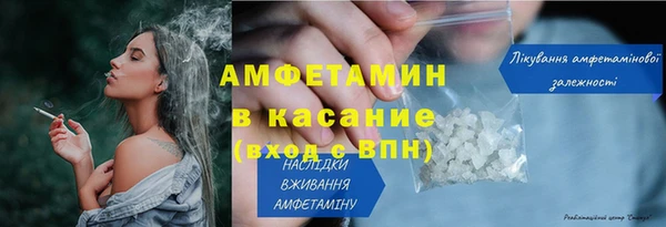 PSILOCYBIN Бронницы
