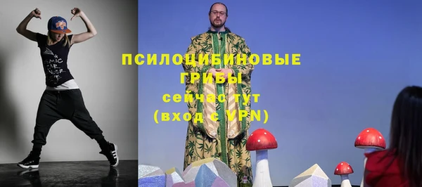 2c-b Дрезна