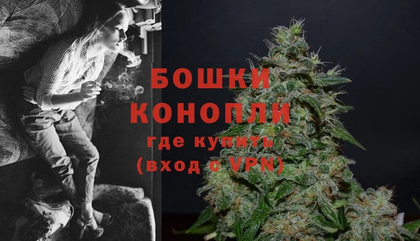 прущие грибы Бородино