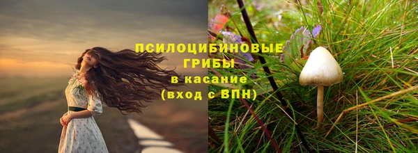 PSILOCYBIN Бронницы