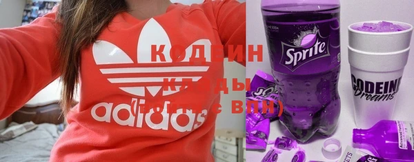 прущие грибы Бородино