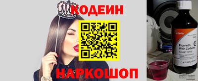 индика Волжский