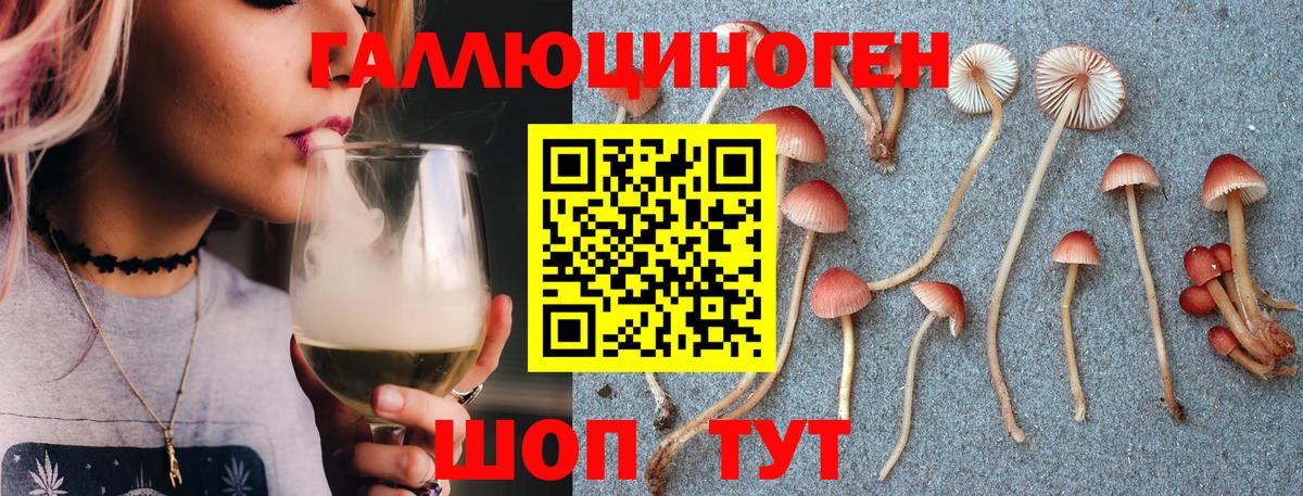 Гашиш  Конопля  Кировск  Codein  Меф кристаллы  Гашиш  Вход с VPN  Магазины продажи наркотиков 
