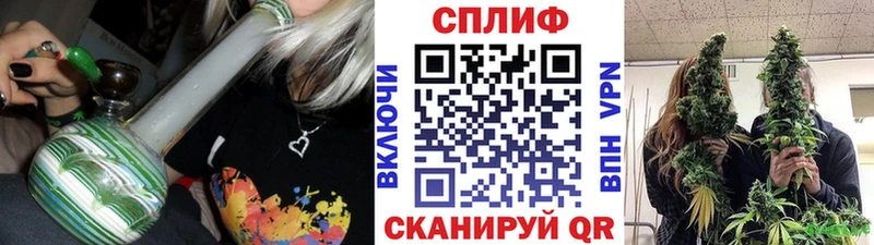 МЕГА tor  Кировск  Шишки марихуана сатива 